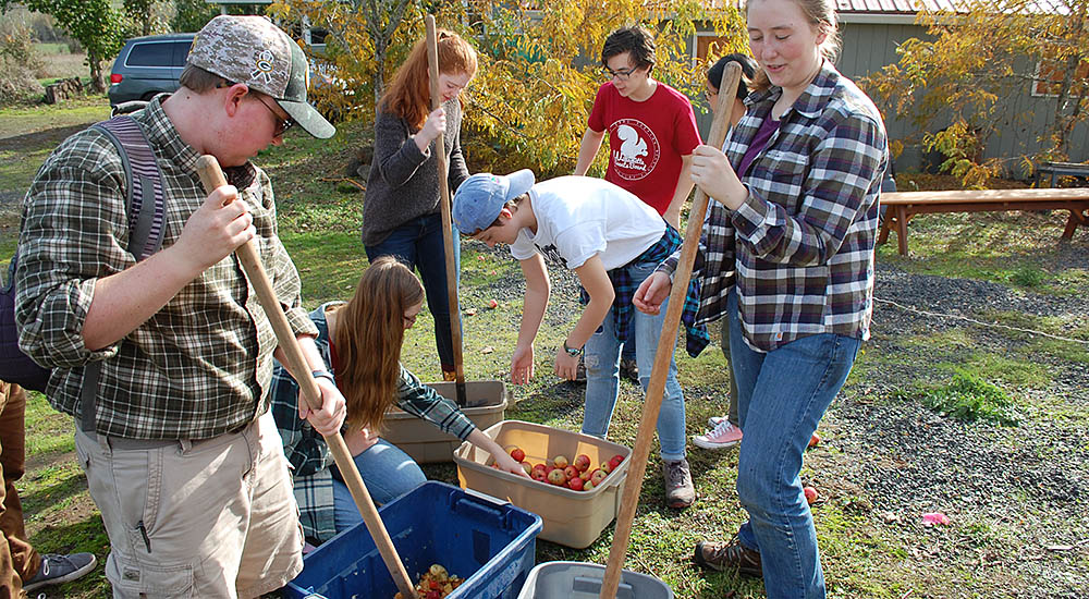 Willamette students at Zena Farm harvesting apples