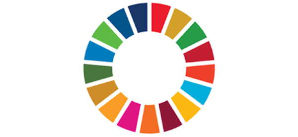 wheel of colors logo from UN Sustainable Development Goals