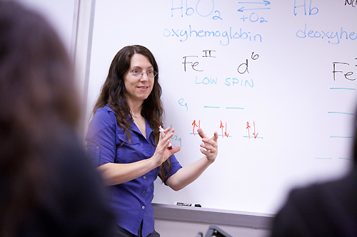 Holman teaches an introductory chemistry course at Willamette.