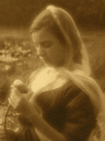 Myra Albert Wiggins, [italics]Nymphaea[/italics] (detail), 1908