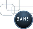 BAM Agency Inc. 