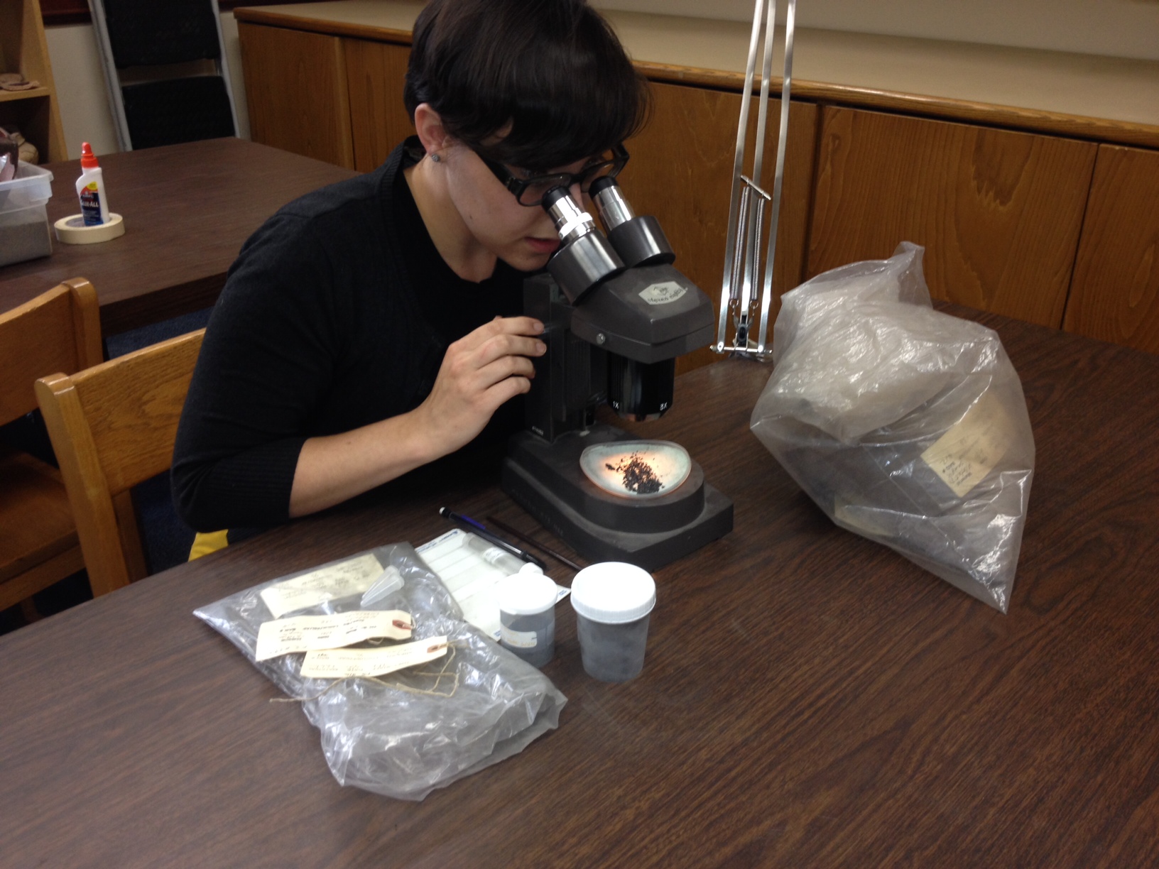 Student Maureen Ricks examining some paleobotanical material in the lab