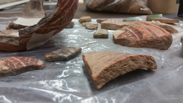 Close up of pottery sherds in the Archaeology Lab