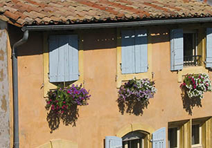 Windows with flowers 