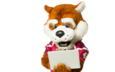 Blitz the Bearcat with a laptop