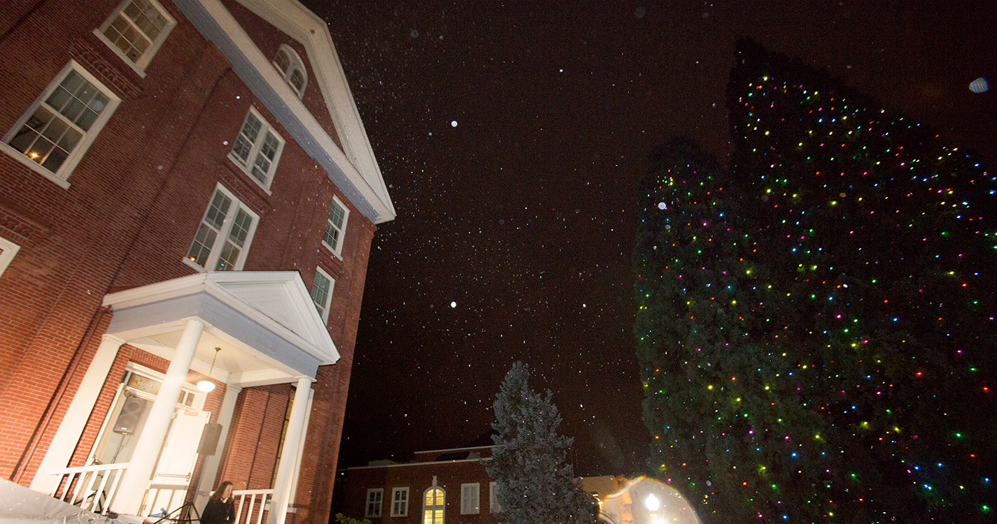Star Trees aglow with holiday lights and Waller Hall