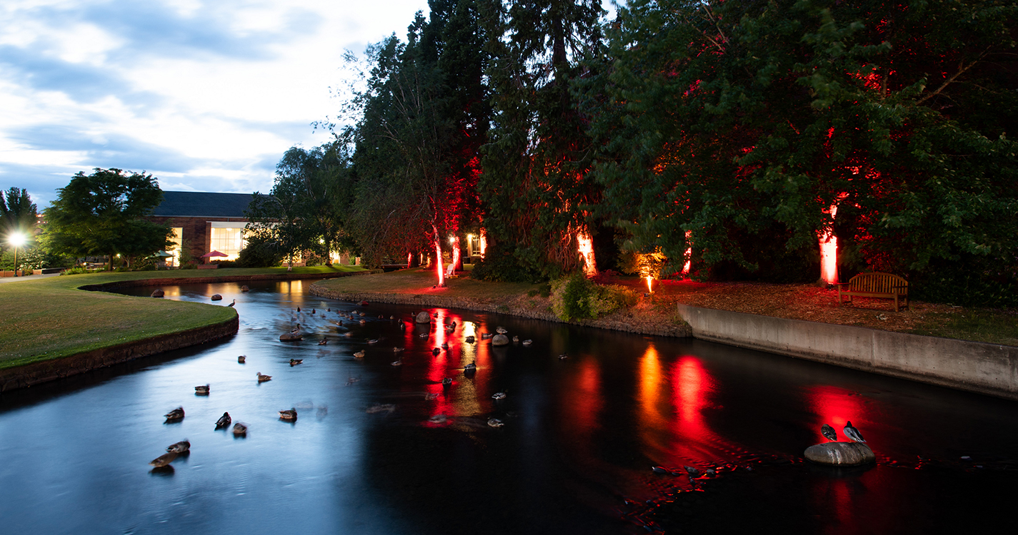 Mill Stream at dusk with cardinal light around trees reflecting in the water with ducks