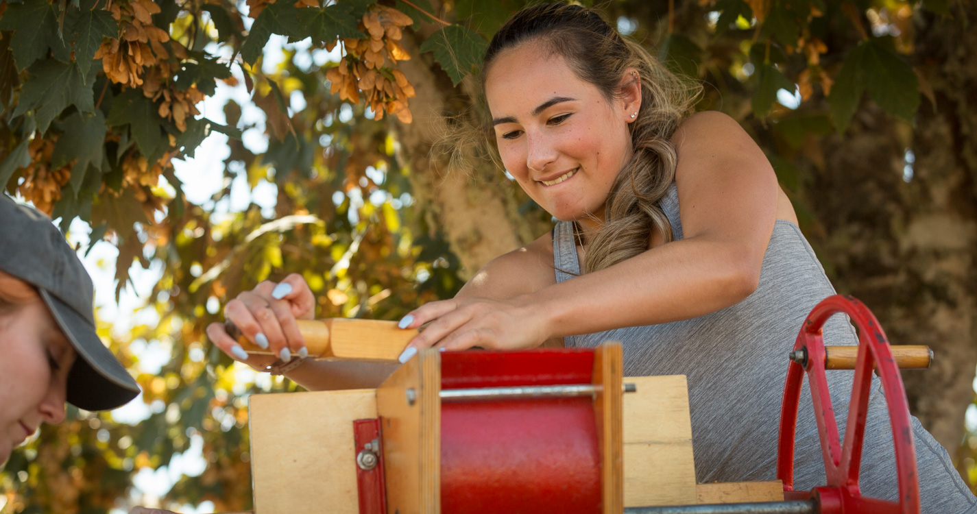 Student using a cider press
