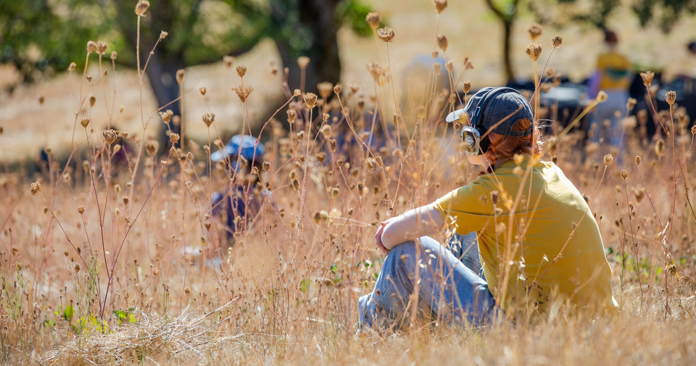 Student sits in a golden field