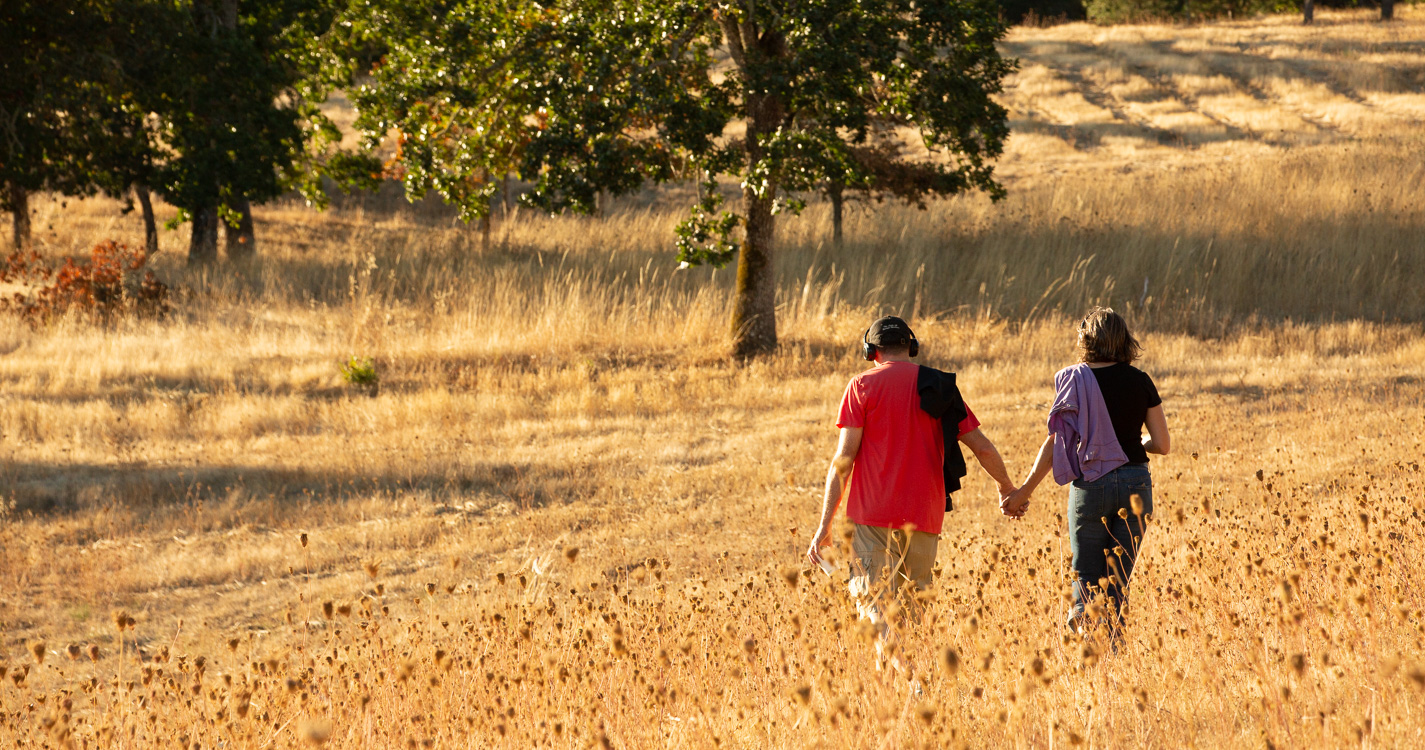 Two people holding hands with backs to camera in a golden field