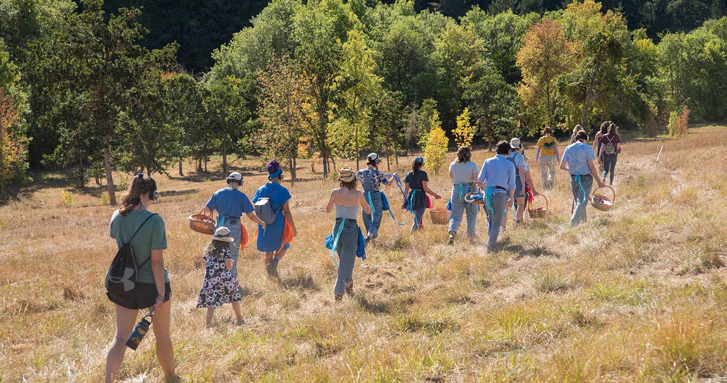 A line of students walk down a path across a golden field