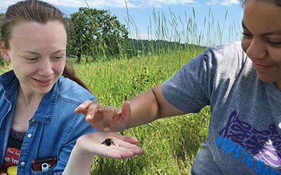 Two female students hold a bee