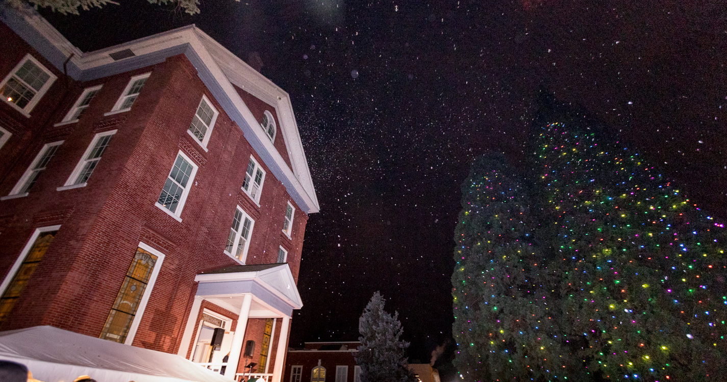 Manufactured snow falls from the sky during the Star Trees lighting ceremony. 