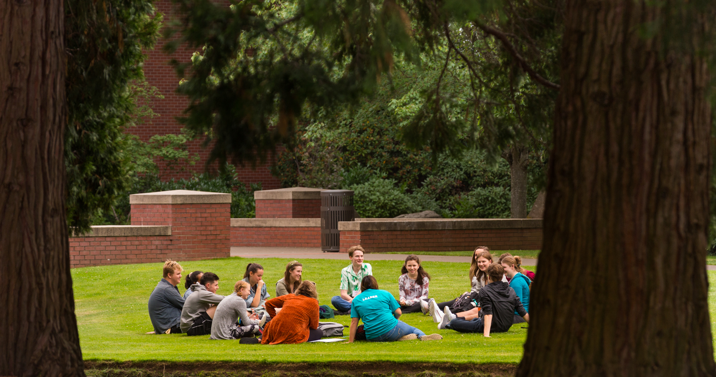 Framed between two trees, students sit in a circle on the grass by the Mill Stream