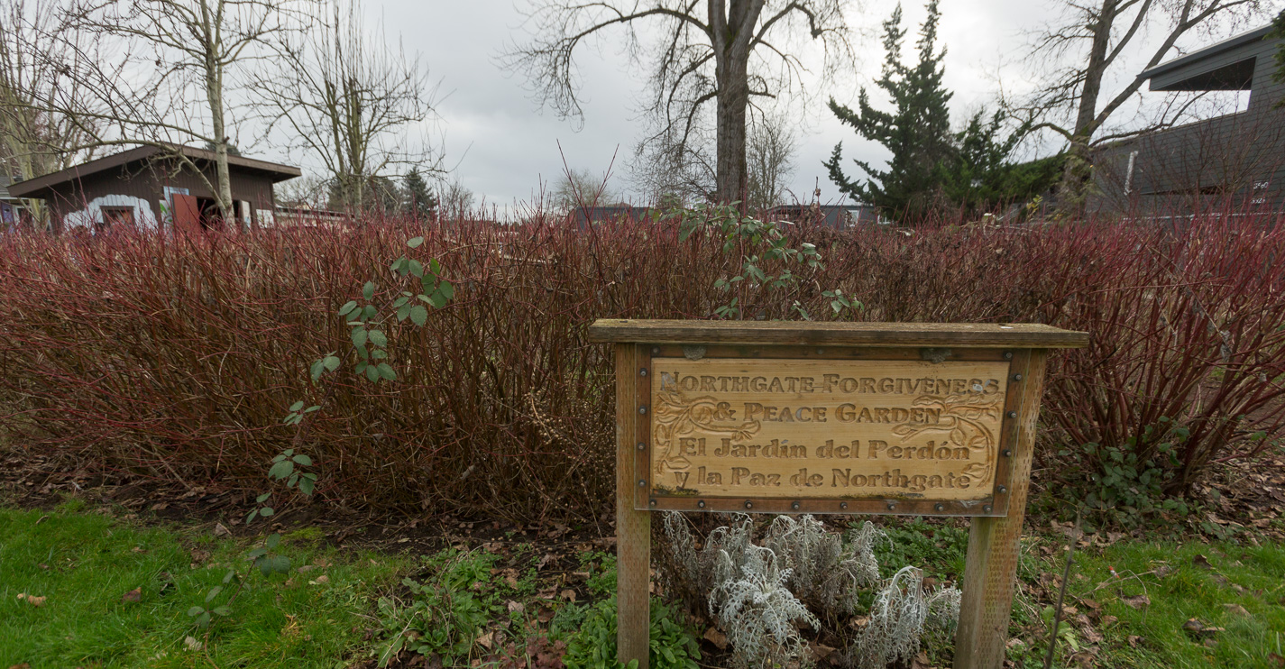 bushes with a sign that says Northgate Forgiveness and peace garden in both English and Spanish