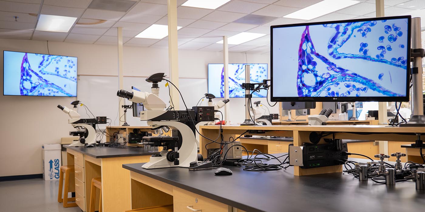 Microscope classroom