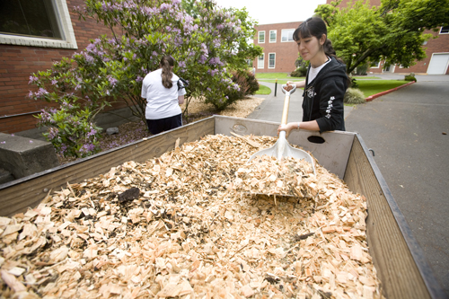 A student crew spreads woodchips