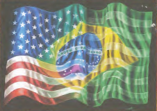 Brazil and American Flag