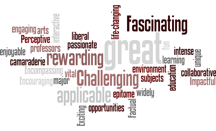 a word cloud of the single word or phrase best capturing their impressions of the EXHS major